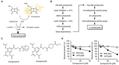 Alkyl gallates inhibit serine O-acetyltransferase in bacteria and enhance susceptibility of drug-resistant Gram-negative bacteria to antibiotics